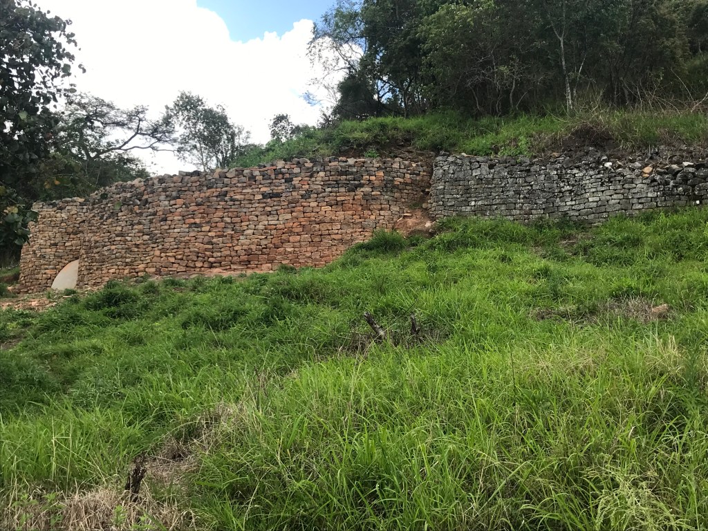 Explainer: How the US saved the Great Zimbabwe Monuments from being destroyed by an invasive&nbsp;plant