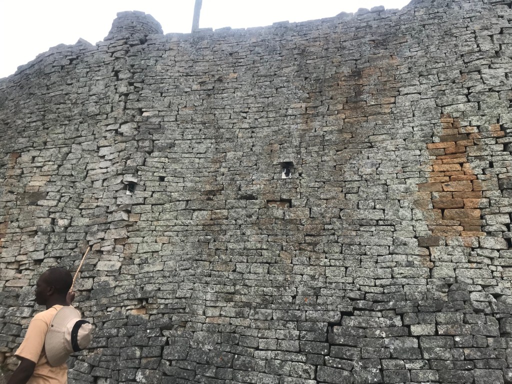 Yes, baboons pulled out an electronic monitoring system at Great&nbsp;Zimbabwe